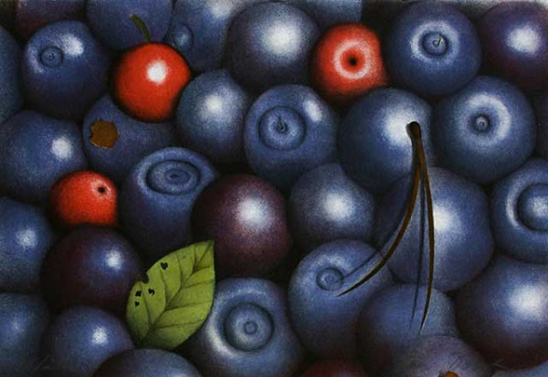 Blaubeeren / Myrtilles